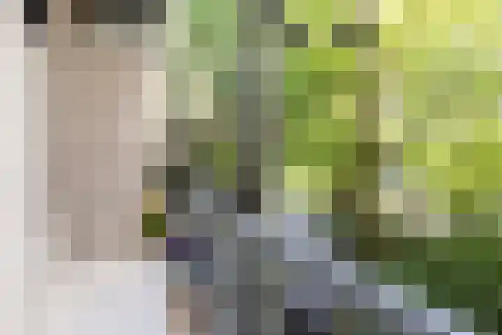 Van Tuyll van Serooskerkenweg 122 3 Amsterdam thumbnail 17