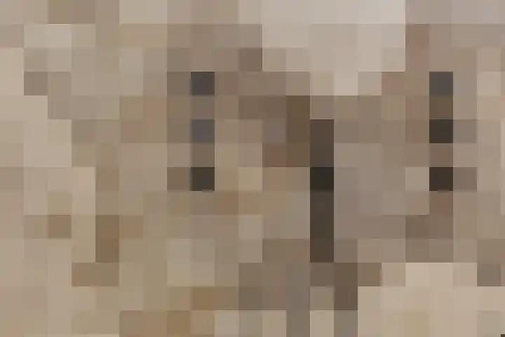 Van Tuyll van Serooskerkenweg 122 3 Amsterdam thumbnail 26