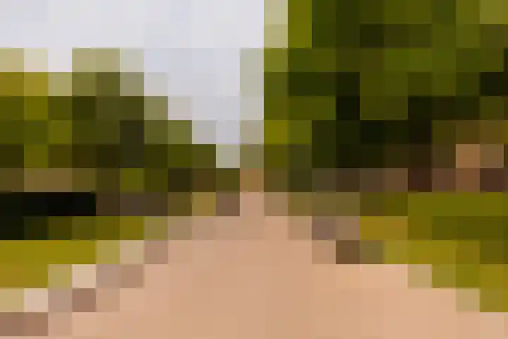 Van Tuyll van Serooskerkenweg 122 3 Amsterdam thumbnail 33
