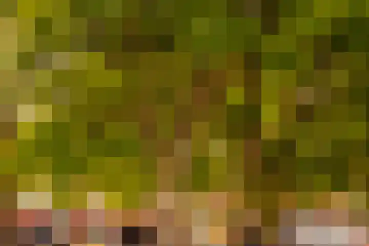 Van Tuyll van Serooskerkenweg 122 3 Amsterdam thumbnail 34