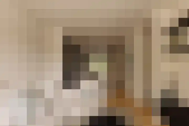 Van Tuyll van Serooskerkenweg 122 3 Amsterdam thumbnail 8