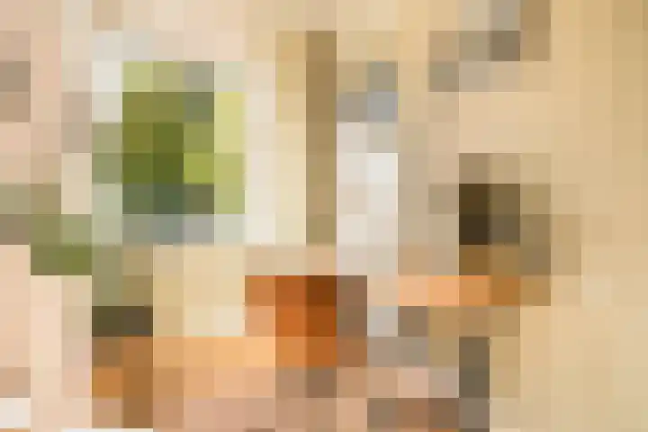 Van Tuyll van Serooskerkenweg 130 3 Amsterdam thumbnail 10