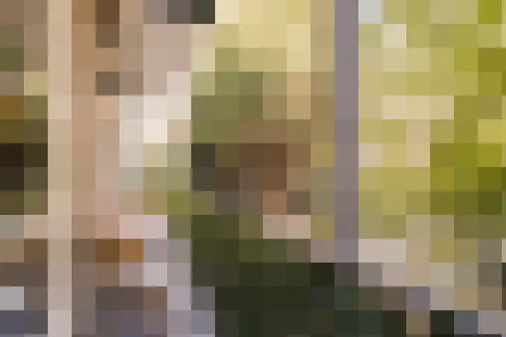 Van Tuyll van Serooskerkenweg 130 3 Amsterdam thumbnail 18