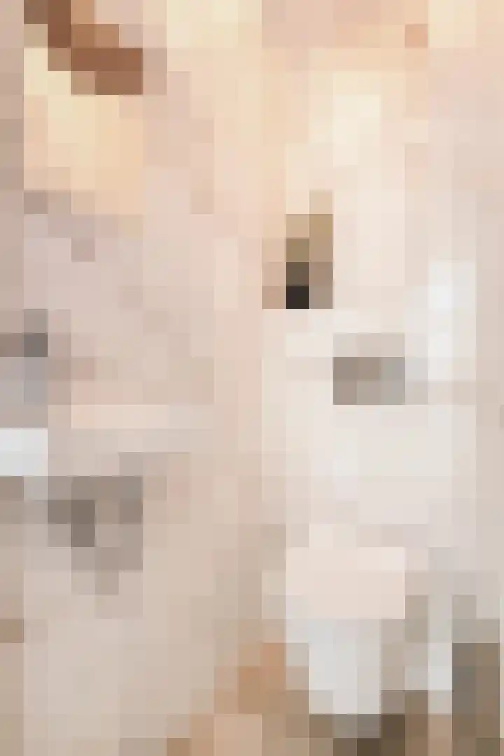 Van Tuyll van Serooskerkenweg 130 3 Amsterdam thumbnail 35