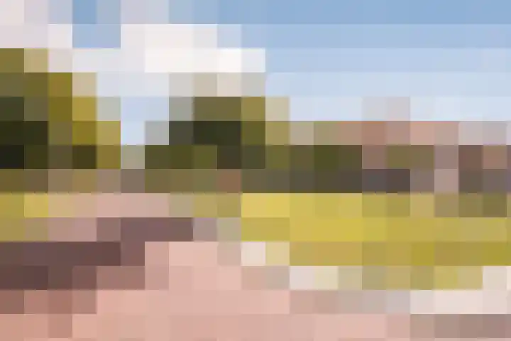 Van Tuyll van Serooskerkenweg 130 3 Amsterdam thumbnail 39
