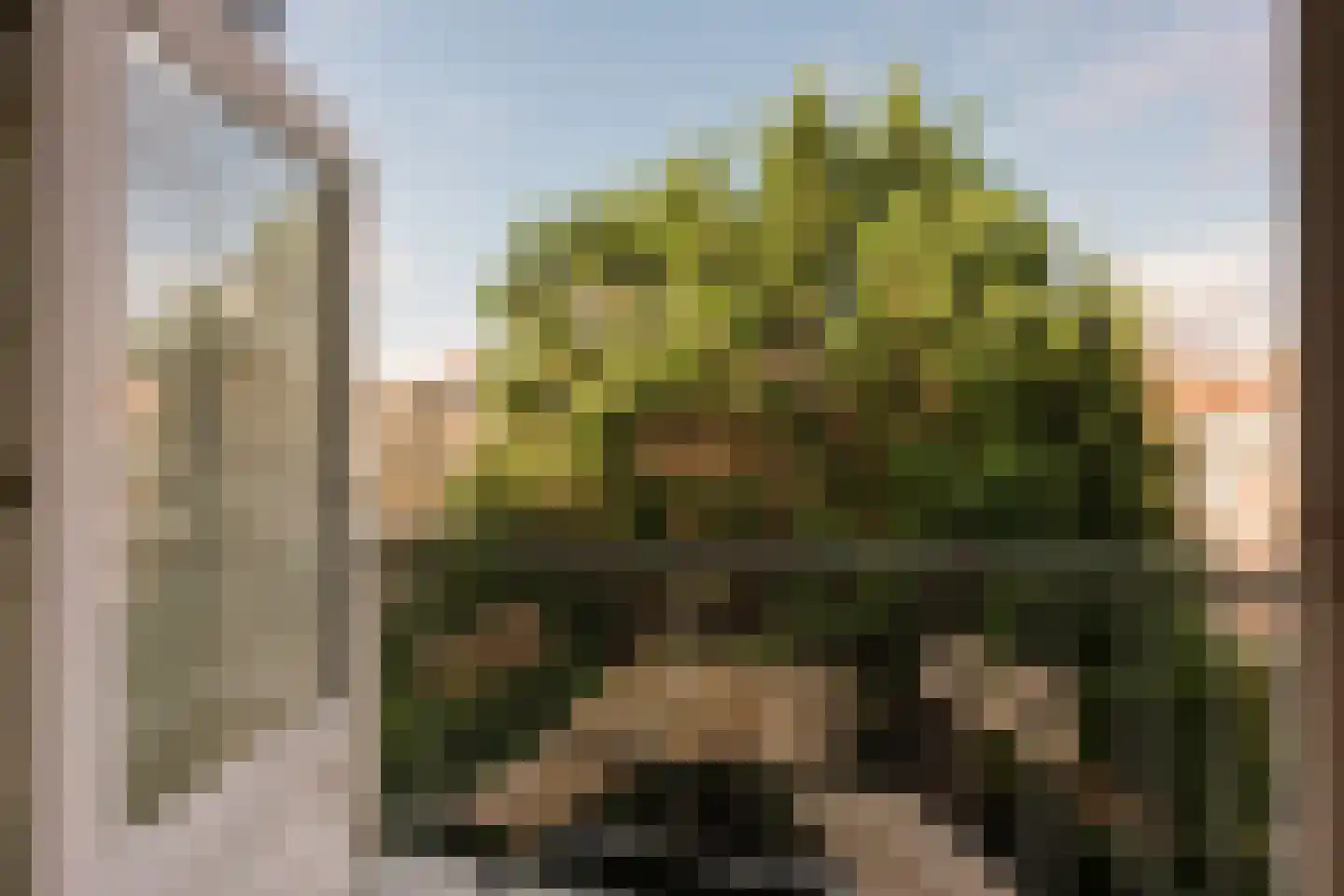 Van Tuyll van Serooskerkenweg 132 3 Amsterdam thumbnail 12