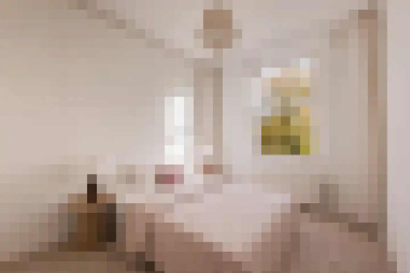 Van Tuyll van Serooskerkenweg 132 3 Amsterdam thumbnail 17