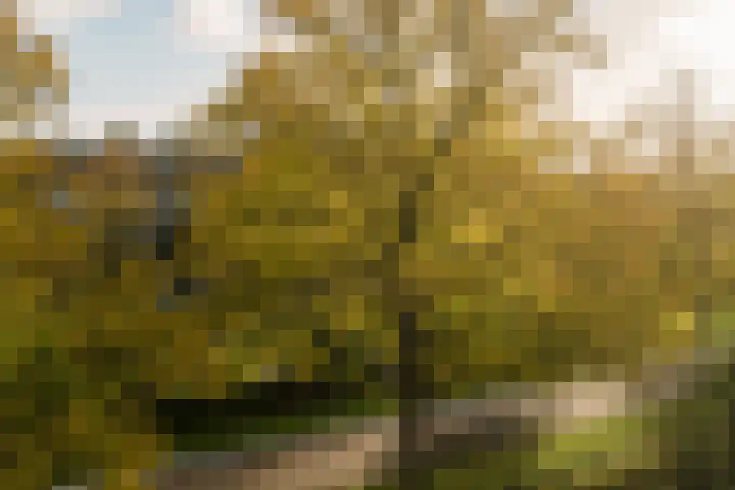 Van Tuyll van Serooskerkenweg 132 3 Amsterdam thumbnail 4