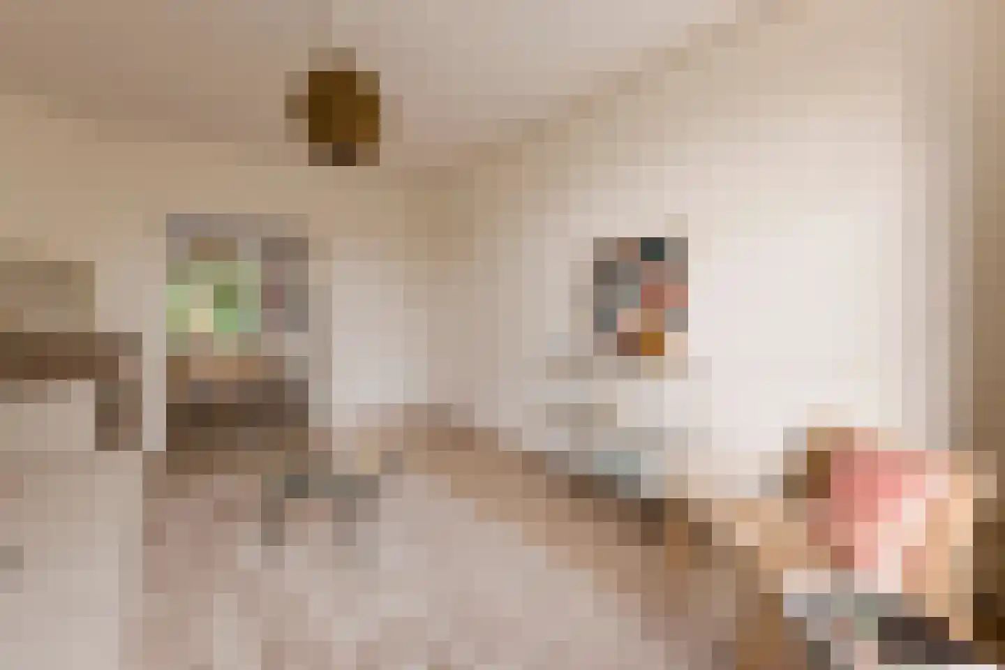 Van Tuyll van Serooskerkenweg 132 3 Amsterdam thumbnail 6