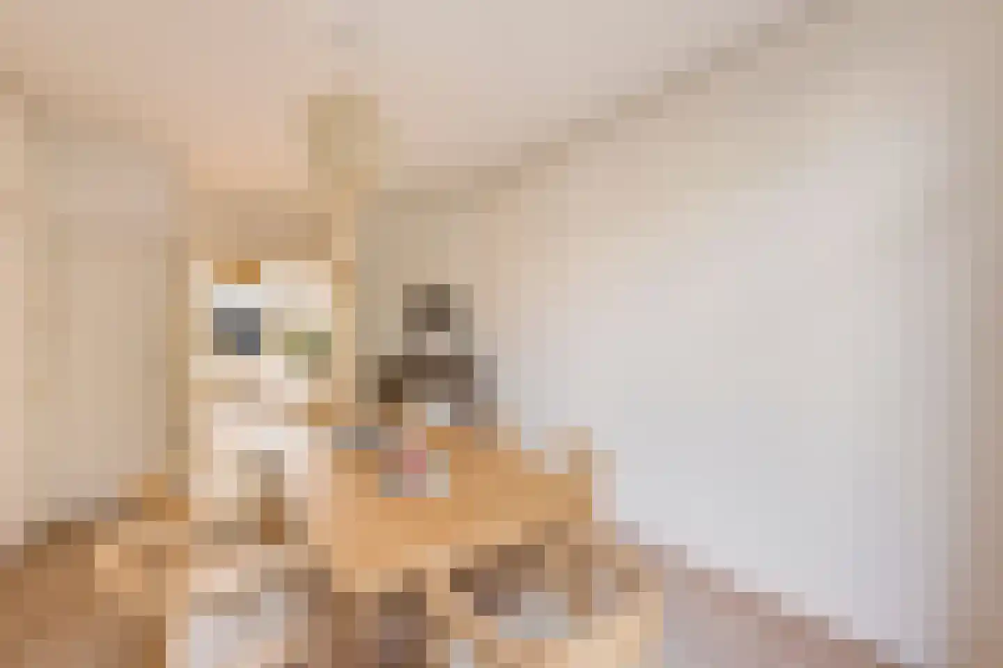 Van Tuyll van Serooskerkenweg 132 3 Amsterdam thumbnail 7