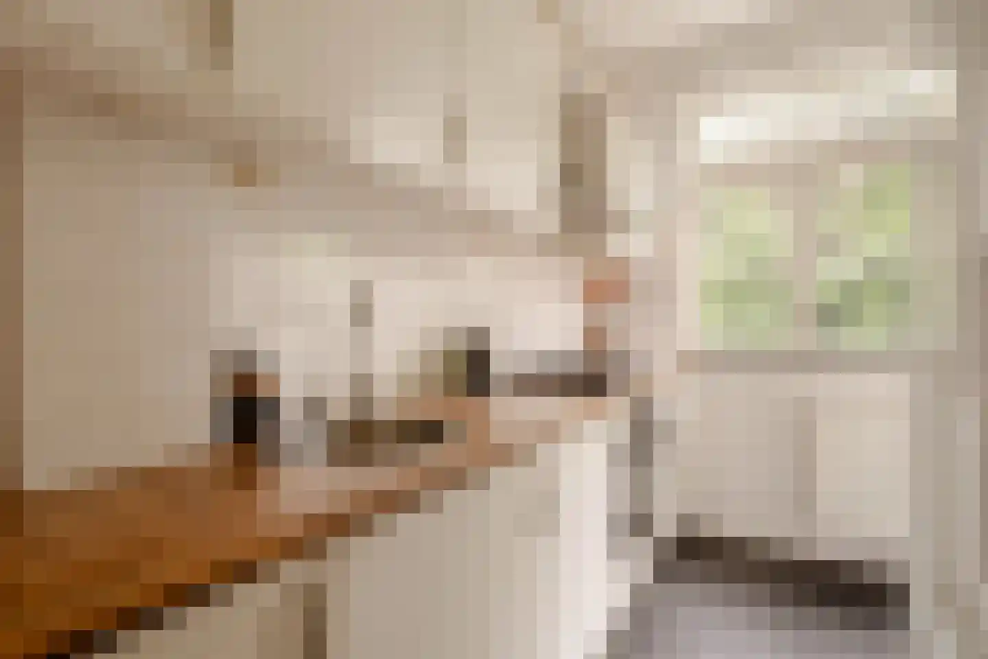 Van Tuyll van Serooskerkenweg 136 1 Amsterdam thumbnail 11