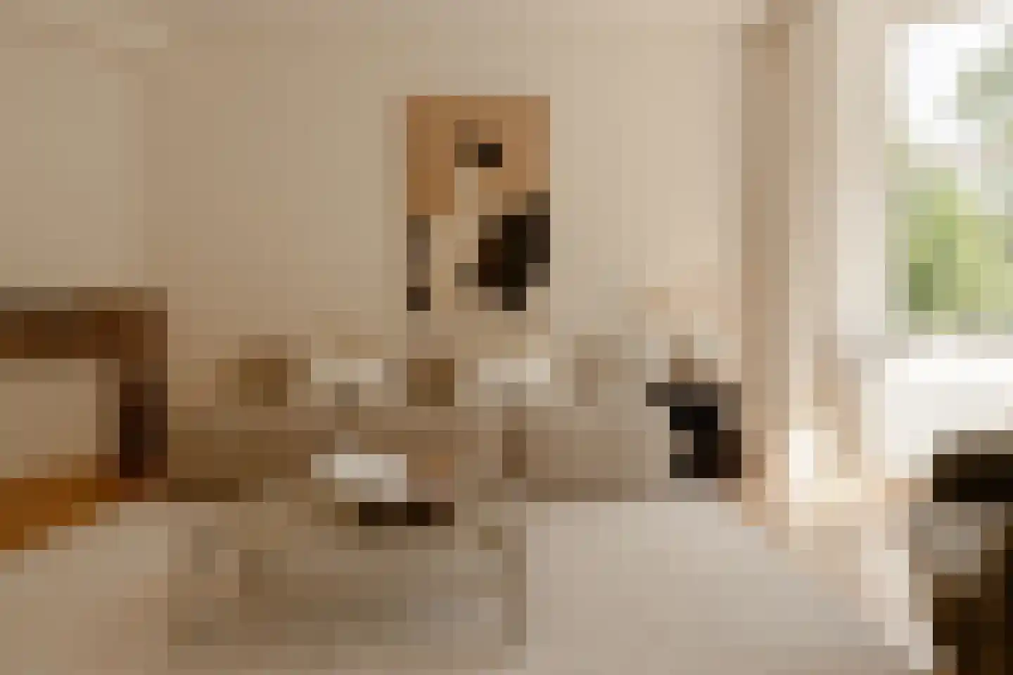 Van Tuyll van Serooskerkenweg 136 1 Amsterdam thumbnail 8