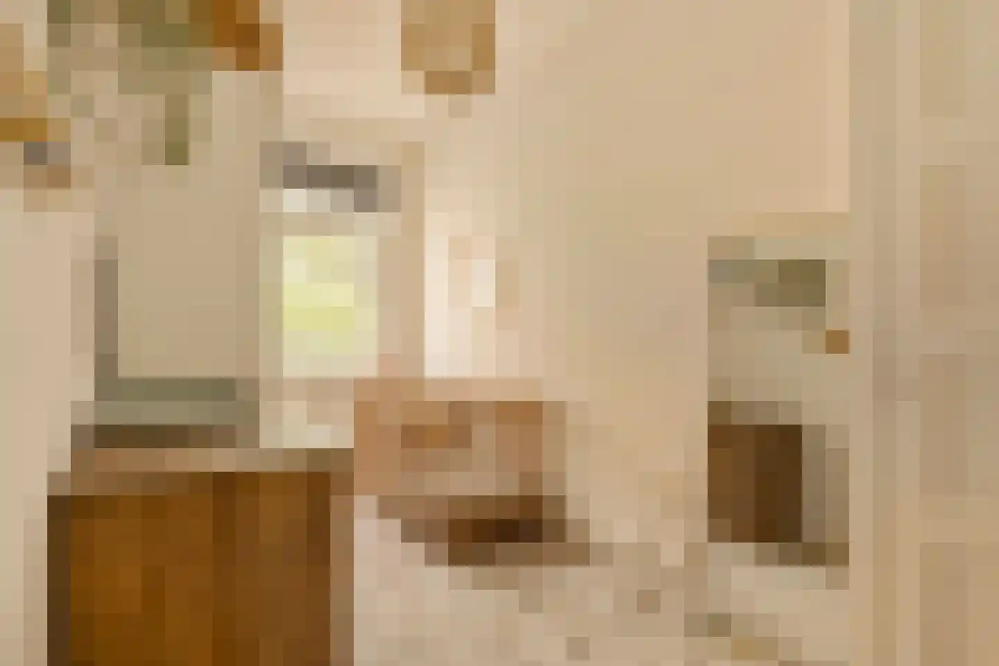 Van Tuyll van Serooskerkenweg 146 3 Amsterdam thumbnail 17