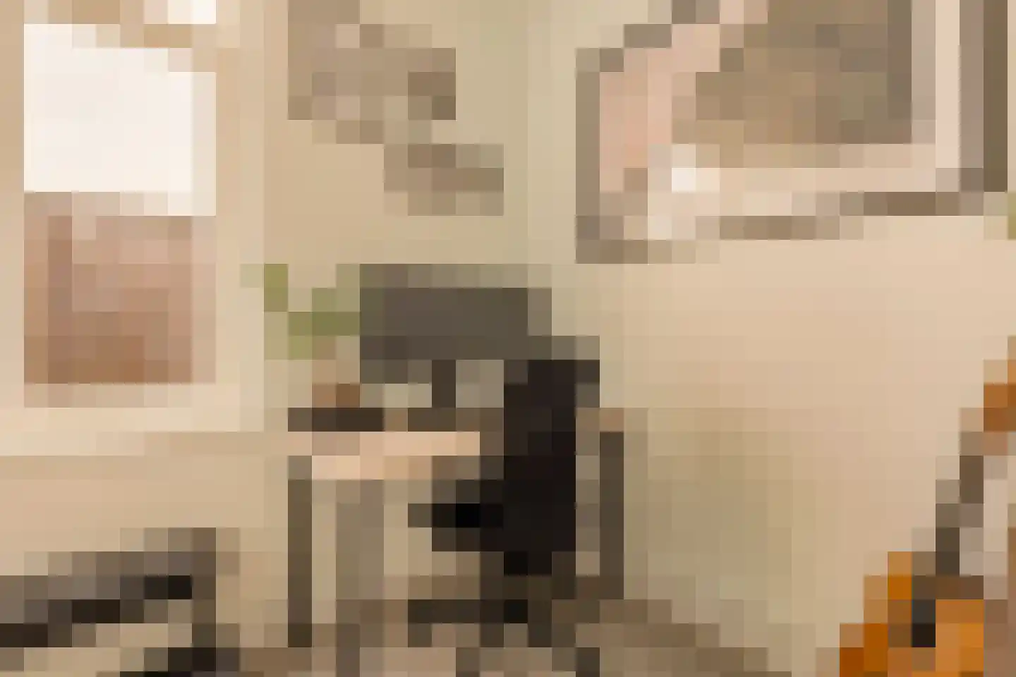 Van Tuyll van Serooskerkenweg 146 3 Amsterdam thumbnail 19