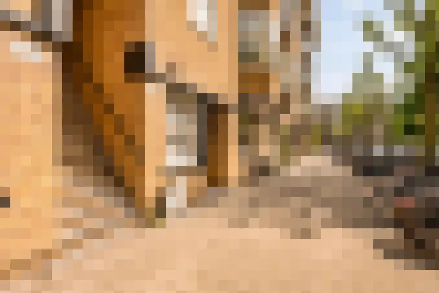 Van Tuyll van Serooskerkenweg 146 3 Amsterdam thumbnail 24