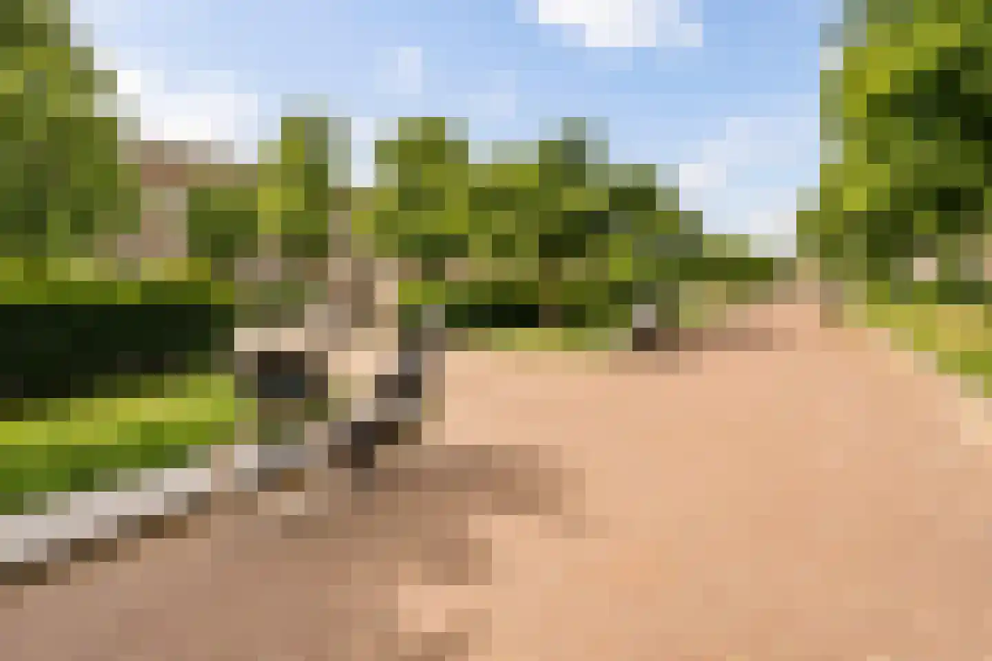 Van Tuyll van Serooskerkenweg 146 3 Amsterdam thumbnail 25