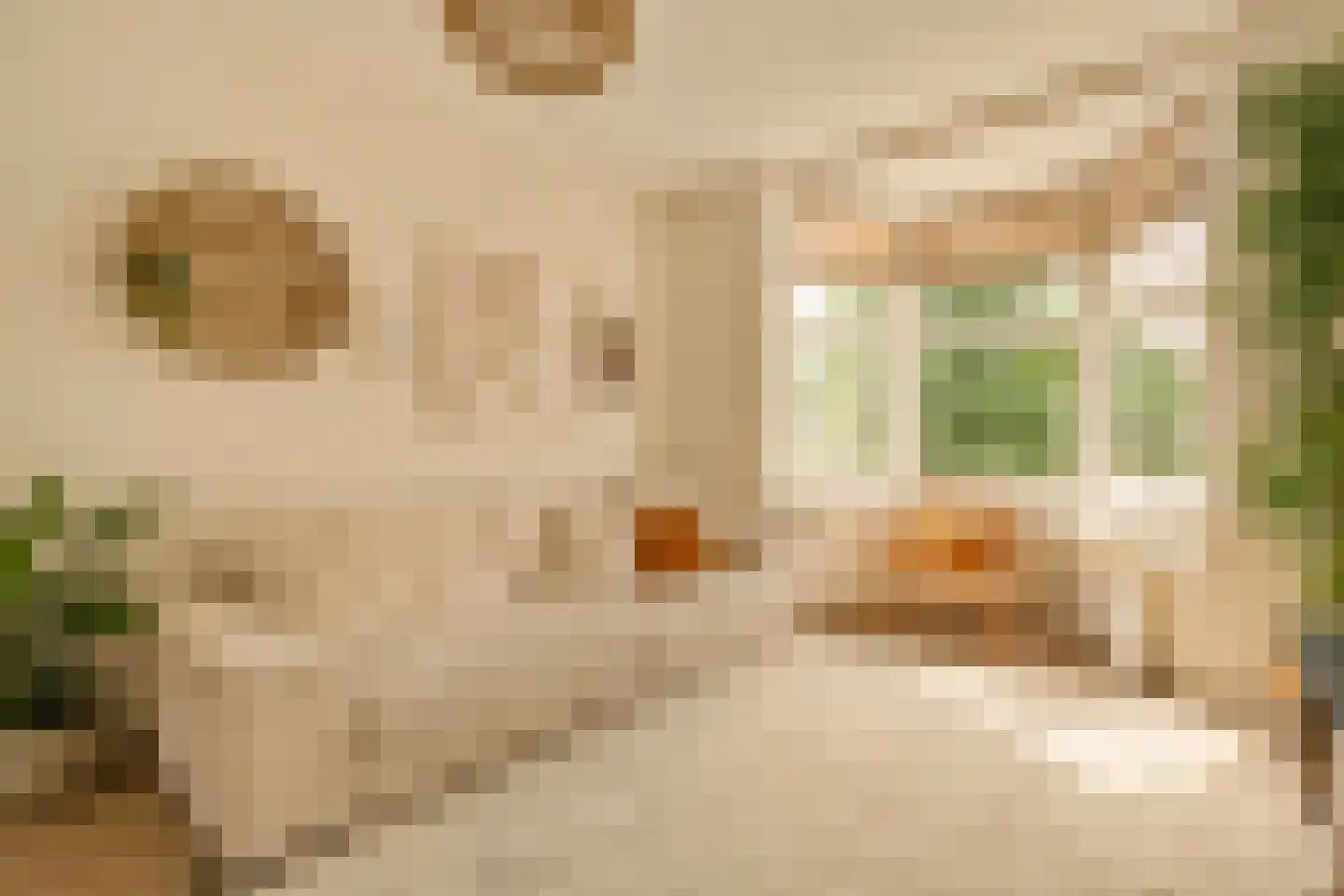 Van Tuyll van Serooskerkenweg 146 3 Amsterdam thumbnail 5