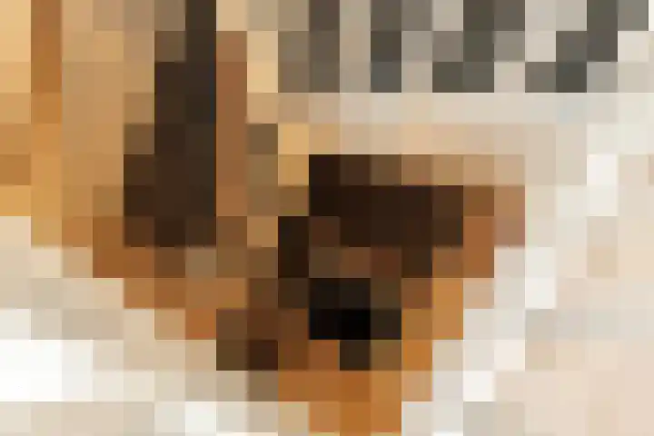 Van Tuyll van Serooskerkenweg 152 3 Amsterdam thumbnail 30