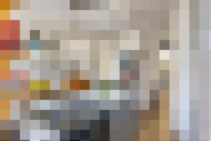 Van Tuyll van Serooskerkenweg 152 3 Amsterdam thumbnail 5