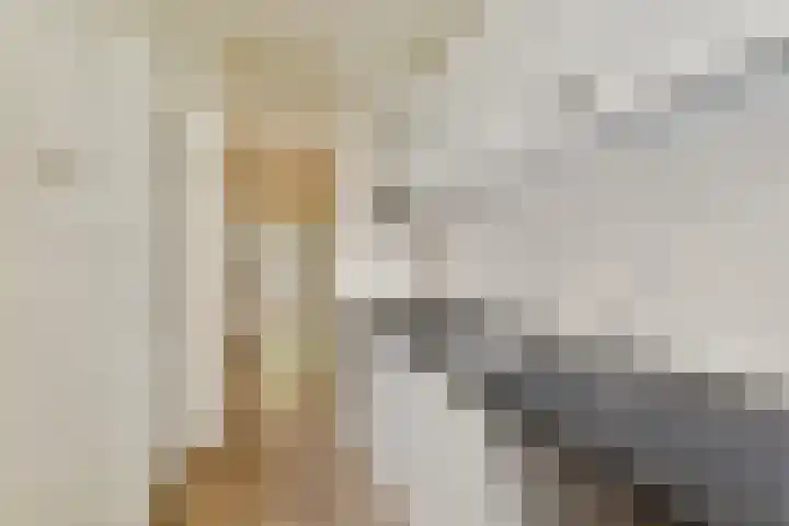 Van Tuyll van Serooskerkenweg 16 2 Amsterdam thumbnail 10