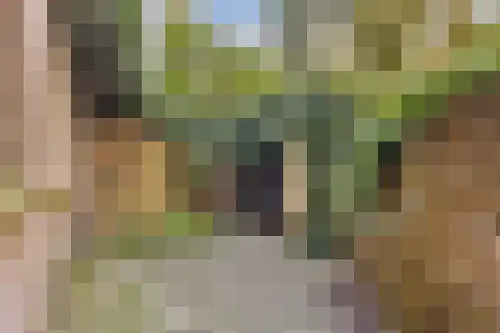 Van Tuyll van Serooskerkenweg 16 2 Amsterdam thumbnail 11