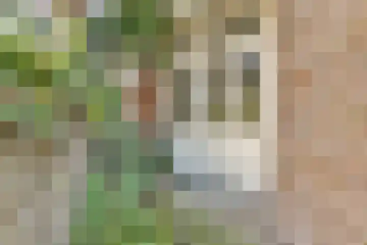 Van Tuyll van Serooskerkenweg 16 2 Amsterdam thumbnail 12