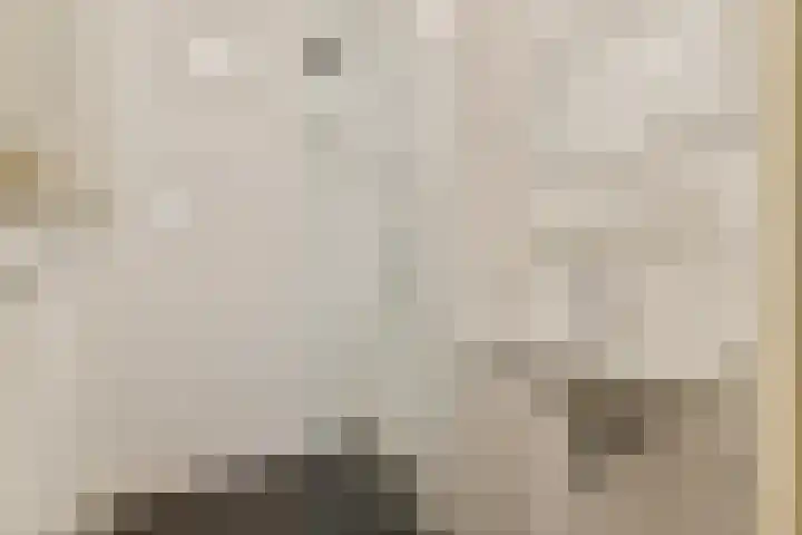 Van Tuyll van Serooskerkenweg 16 2 Amsterdam thumbnail 17