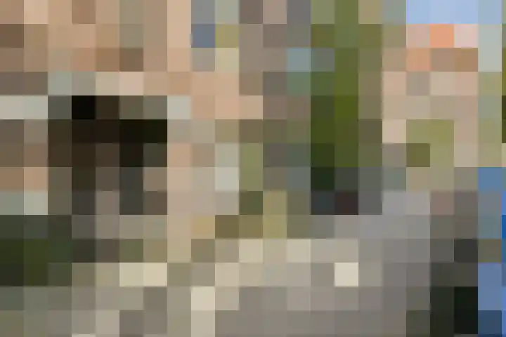 Van Tuyll van Serooskerkenweg 16 2 Amsterdam thumbnail 22