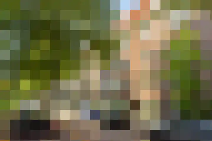 Van Tuyll van Serooskerkenweg 16 2 Amsterdam thumbnail 26