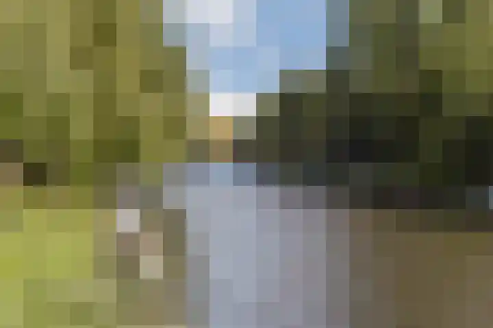 Van Tuyll van Serooskerkenweg 16 2 Amsterdam thumbnail 27