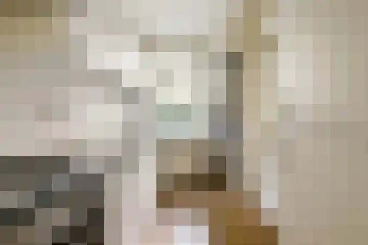 Van Tuyll van Serooskerkenweg 16 2 Amsterdam thumbnail 9