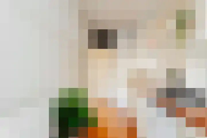 Van Tuyll van Serooskerkenweg 162 3 Amsterdam thumbnail 17