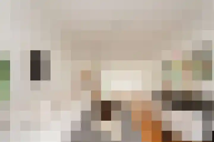 Van Tuyll van Serooskerkenweg 162 3 Amsterdam thumbnail 6