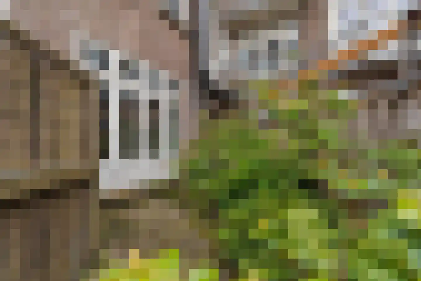 Van Tuyll van Serooskerkenweg 164 Amsterdam thumbnail 27