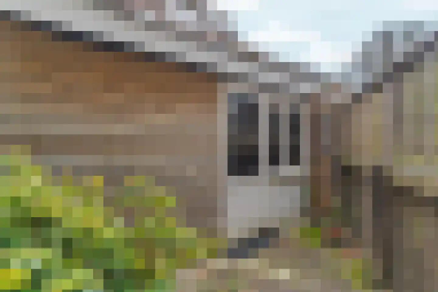 Van Tuyll van Serooskerkenweg 164 Amsterdam thumbnail 29