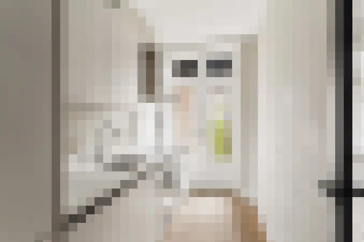 Van Tuyll van Serooskerkenweg 164 Amsterdam thumbnail 8