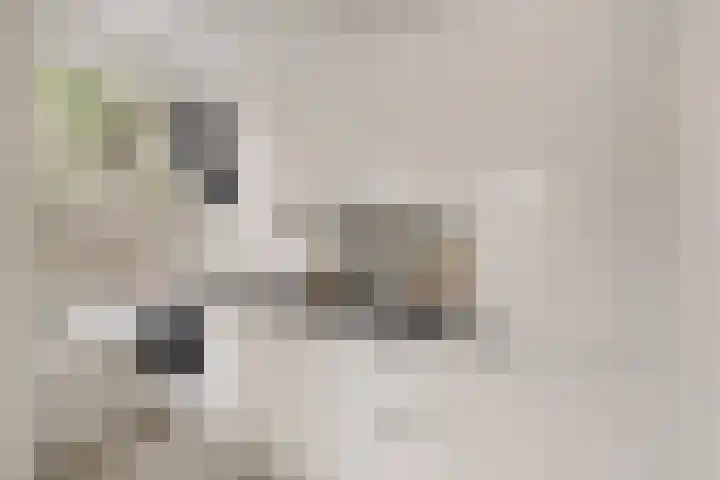 Van Tuyll van Serooskerkenweg 2 3 Amsterdam thumbnail 11