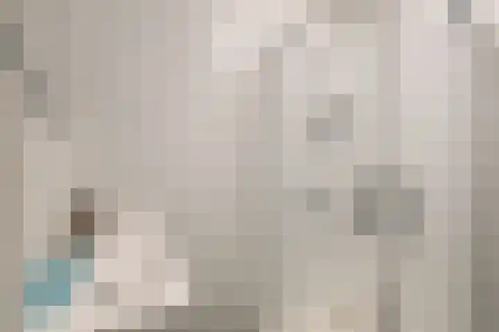 Van Tuyll van Serooskerkenweg 2 3 Amsterdam thumbnail 16