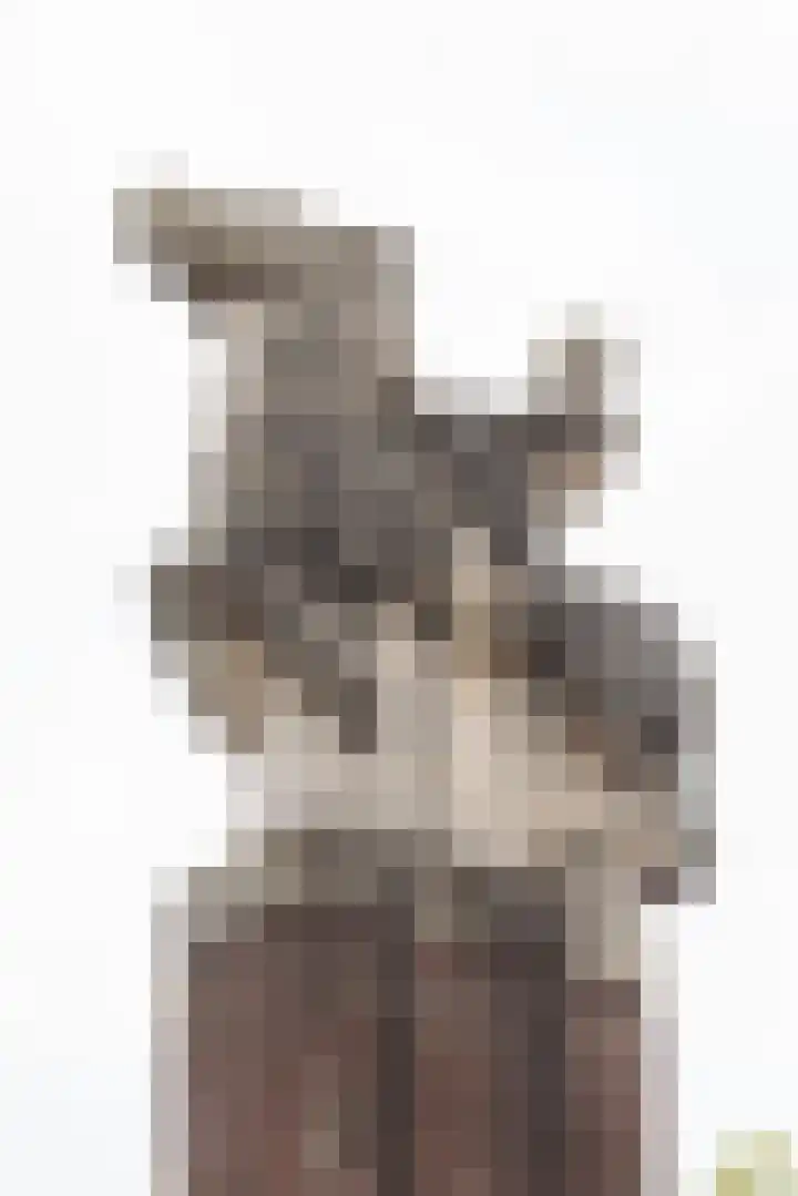 Van Tuyll van Serooskerkenweg 2 3 Amsterdam thumbnail 18