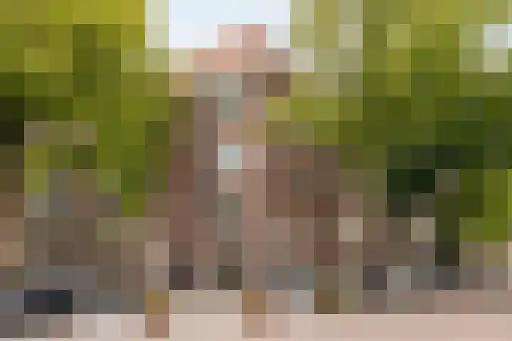 Van Tuyll van Serooskerkenweg 2 3 Amsterdam thumbnail 5