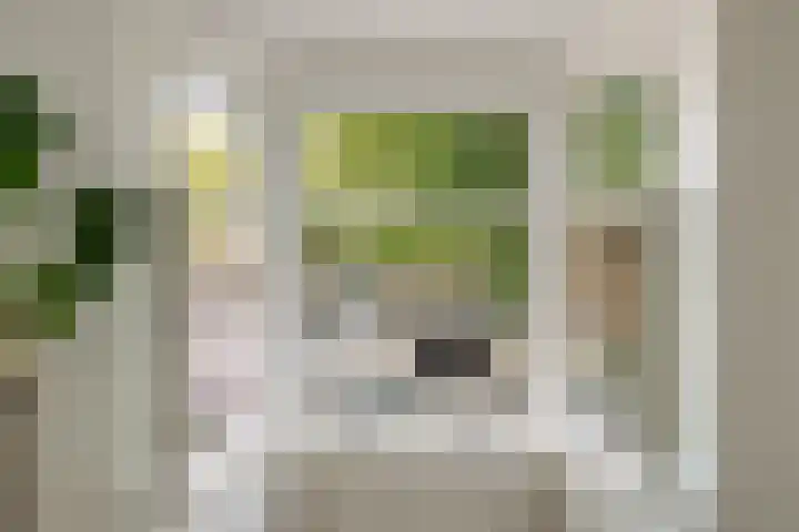 Van Tuyll van Serooskerkenweg 2 3 Amsterdam thumbnail 8