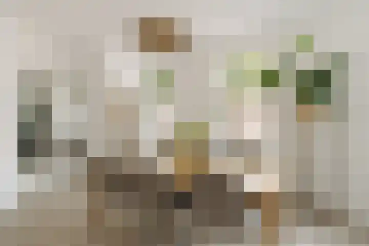 Van Tuyll van Serooskerkenweg 2 3 Amsterdam thumbnail 9