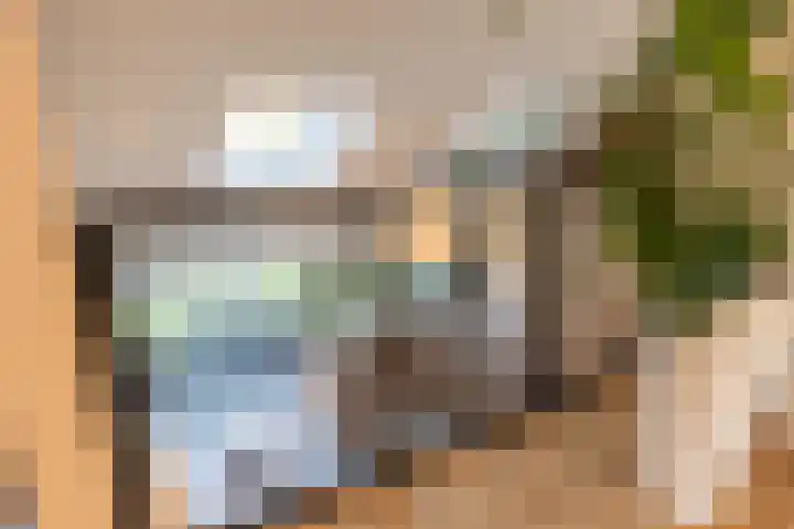 Van Tuyll van Serooskerkenweg 21 Ruurlo thumbnail 13
