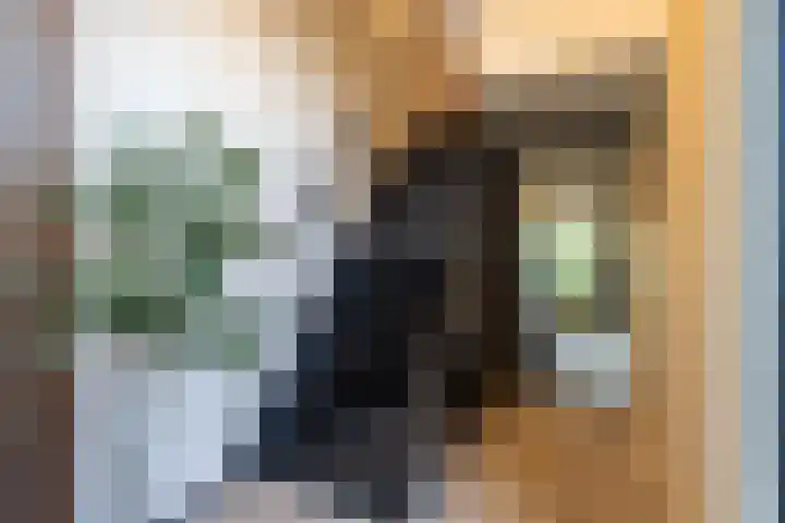 Van Tuyll van Serooskerkenweg 21 Ruurlo thumbnail 17