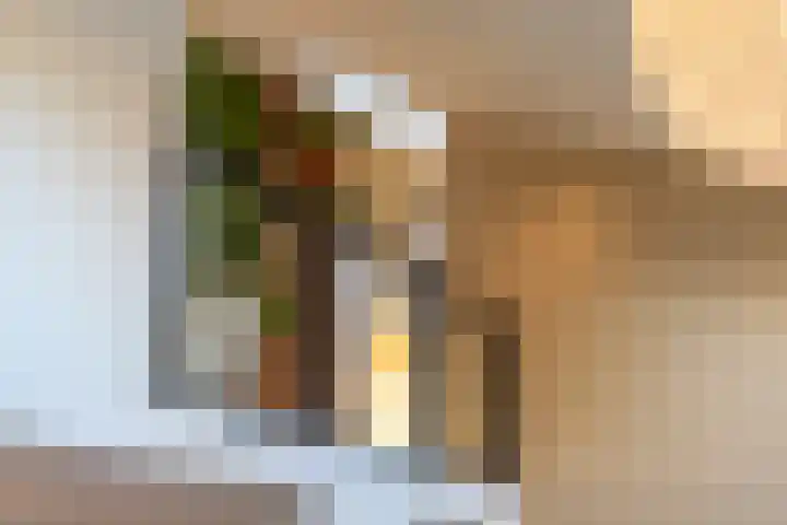Van Tuyll van Serooskerkenweg 21 Ruurlo thumbnail 18