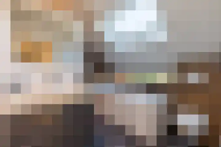 Van Tuyll van Serooskerkenweg 21 Ruurlo thumbnail 20