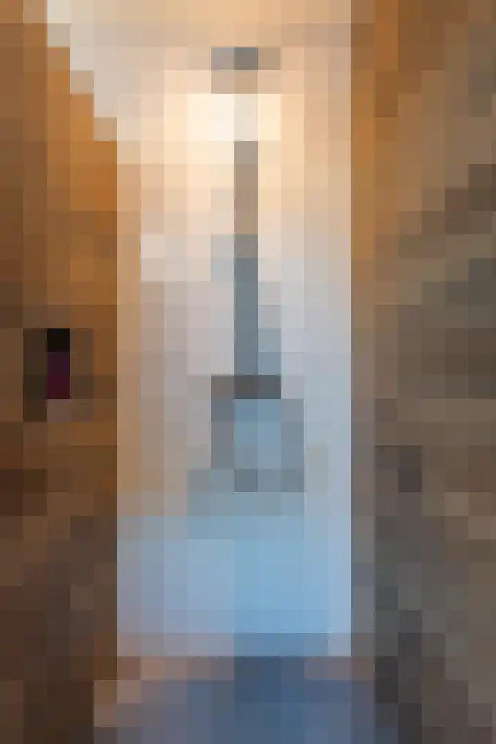 Van Tuyll van Serooskerkenweg 21 Ruurlo thumbnail 21