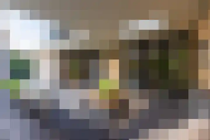 Van Tuyll van Serooskerkenweg 21 Ruurlo thumbnail 5