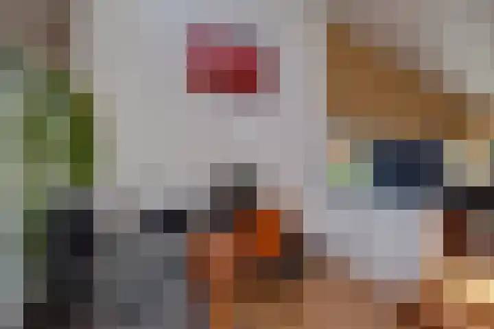 Van Tuyll van Serooskerkenweg 24 Ruurlo thumbnail 10