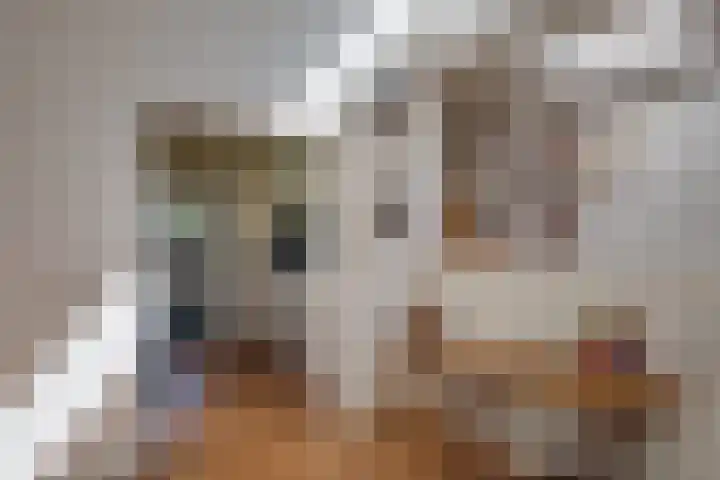 Van Tuyll van Serooskerkenweg 24 Ruurlo thumbnail 11